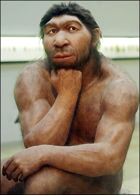 neanderthal_280_470743a.jpg